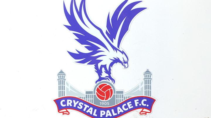 Crystal Palace v Newcastle United - Premier League