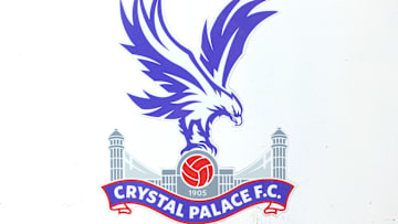 Crystal Palace v Newcastle United - Premier League