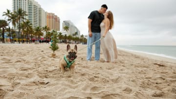 Chewy will pay for your pets expenses during wedding planning. Image Credit to Chewy. 