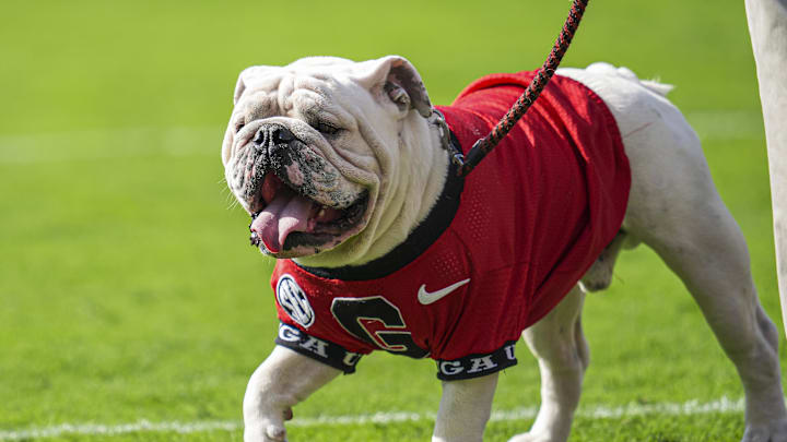 How to Watch Georgia Football vs Umass