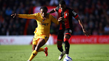 AFC Bournemouth v Wolverhampton Wanderers FC - Premier League