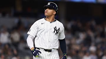 Después de triunfar con los Yankees Juan Soto será la vedette de la agencia libre