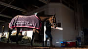 Thorpedo Anna, the winner of the 150th Running of The Kentucky Oaks, is walked around Kenny McPeek’s barn at Churchill Downs on Sunday, May 5, 2024.