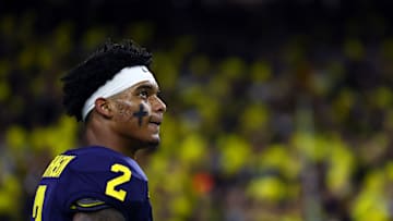 Michigan's Will Johnson