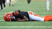 Bengals receiver Tee Higgins suffered a concussion.