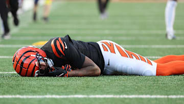 Bengals receiver Tee Higgins suffered a concussion.