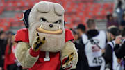 Georgia mascot Hairy Dawg at the Dawg Walk before the start of a NCAA college football game against Tennessee in Athens, Ga., on Saturday, Nov. 16, 2024.