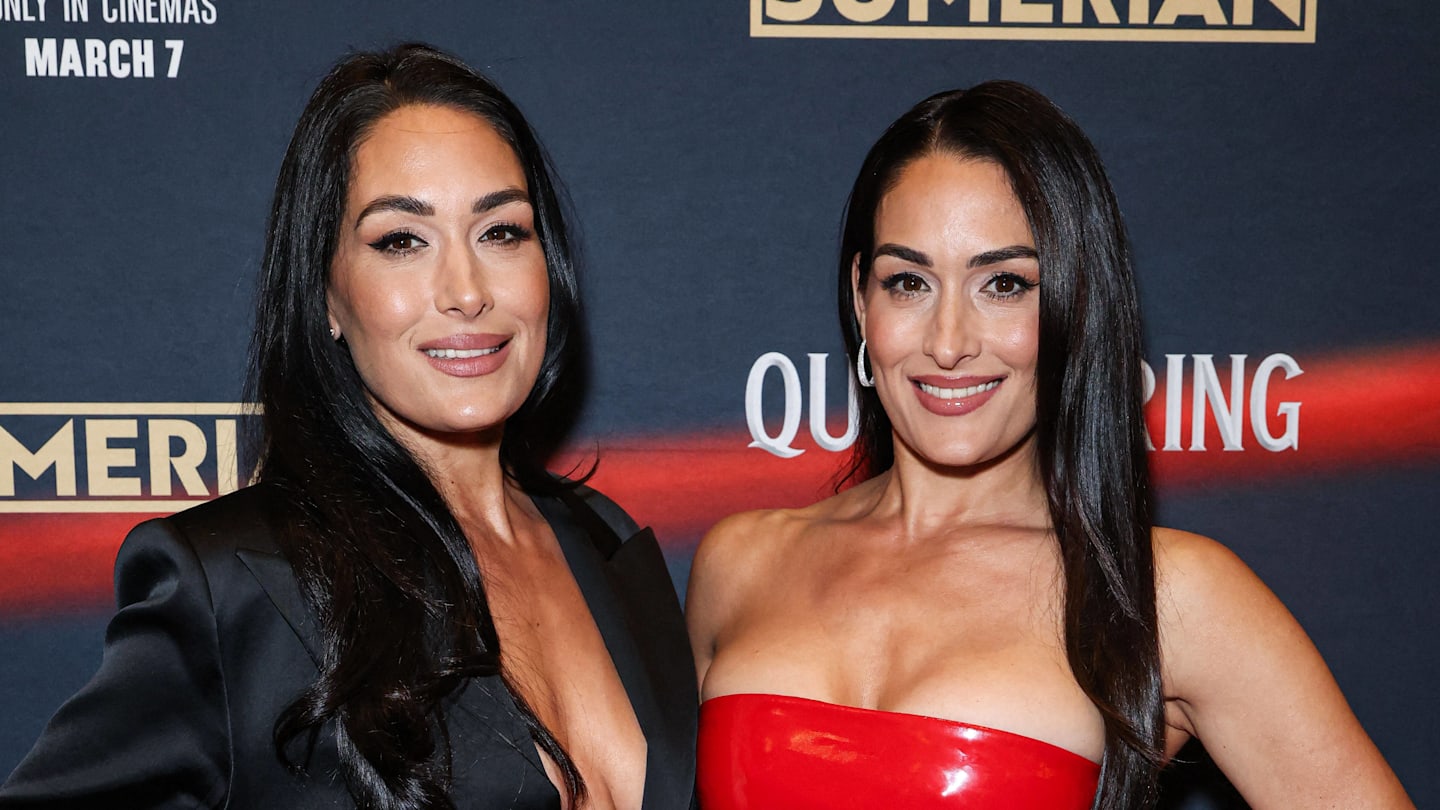 Nikki Bella Pushes WWE For Brie Bella Return Despite AEW Ties