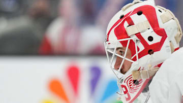 Detroit Red Wings v San Jose Sharks