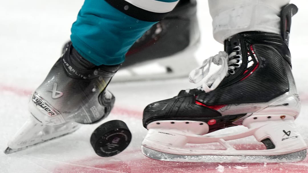 Detroit Red Wings v San Jose Sharks