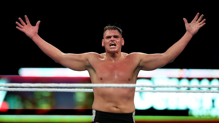 WWE - 2025 SummerSlam