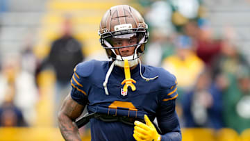 Carolina Panthers v Green Bay Packers