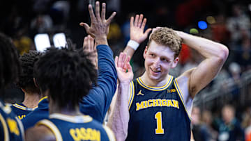 Can Michigan cover as an underdog on Sunday?