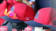 Mar 6, 2019; Tampa, FL, USA; St. Louis Cardinals hat and gloves lay in the dugout at George M. Steinbrenner Field. Mandatory Credit: Kim Klement-Imagn Images