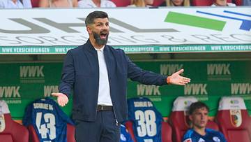 Erlebte ein schwieriges Bundesliga-Debüt: Miron Muslic Erlebte ein schwieriges Bundesliga-Debüt: Miron Muslic