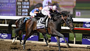 Nov 2, 2024; Del Mar, CA, USA; Sierra Leone ridden by Flavien Prat wins the Breeder’s Cup Classic during the 2024 Breeders' Cup Championship at Del Mar Thoroughbred Club. 