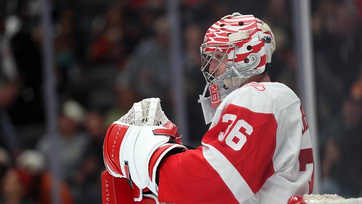 Oct 31, 2025; Anaheim, California, USA;  Detroit Red Wings goaltender John Gibson (36) looks on during the second period against the Anaheim Ducks at Honda Center. Mandatory Credit: Kiyoshi Mio-Imagn Images