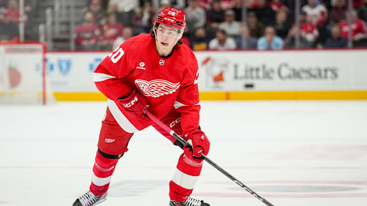 Albert Johansson during the game between the Ottawa Senators and Detroit Red Wings.