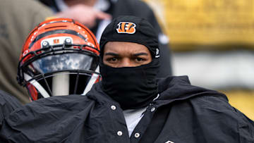 Cincinnati Bengals v Pittsburgh Steelers - NFL 2025