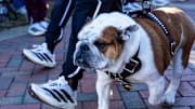 Mississippi State’s mascot “Dak” Bully the Bulldog participates in the Dawg Walk before a college football game between Mississippi State and Ole Miss at Davis Wade Stadium in Starkville, Miss., on Friday, Nov. 28, 2025. The Egg Bowl game marks the 122nd meeting between the two teams. Dak is also known as Bully XXII.