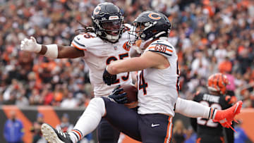 Chicago Bears v Cincinnati Bengals