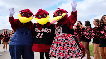 Sep 17, 2016; Columbia, SC, USA;  South Carolina Gamecocks mascot "Cocky" and friends during the "Gamecock Walk" into Williams-Brice Stadium before the game against the East Carolina Pirates. Mandatory Credit: Jim Dedmon-Imagn Images