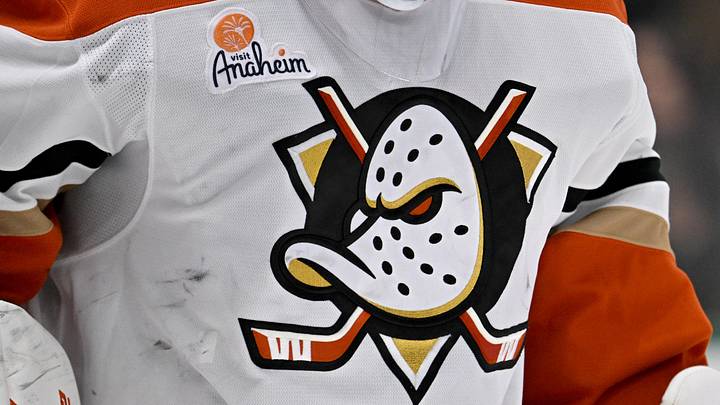 Mar 18, 2025; Dallas, Texas, USA; A view of the logo on the jersey of Anaheim Ducks goaltender Lukas Dostal (1) during the second period against the Dallas Stars at the American Airlines Center. 