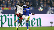 Der HSV empfängt Schalke