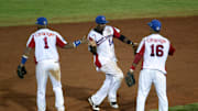 Tigres del Licey es uno de los equipos históricos de la LIDOM