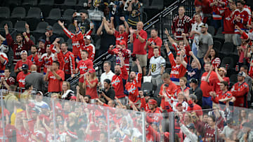 Washington Capitals Mandatory Credit: Gary A. Vasquez-Imagn Images