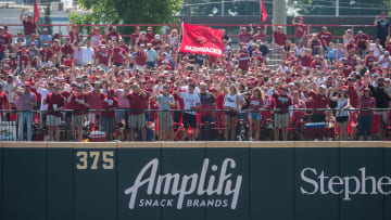 Jun 8, 2019; Fayetteville, AR, USA; Arkansas Razorbacks fans chant during the game against the Mississippi Rebels at Baum-Walker Stadium. Mandatory Credit: Brett Rojo-USA TODAY Sports