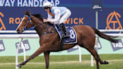 Publisher is a 2025 Kentucky Derby contender.
