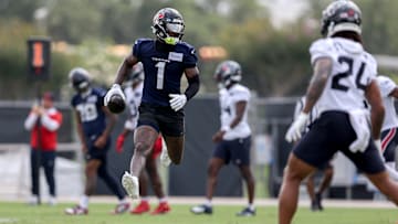 Houston Texans Mandatory Minicamp