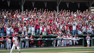 Jun 10, 2019; Fayetteville, AR, USA; Arkansas Razorbacks fans chant as Arkansas Razorbacks shortstop Casey Martin (15) is at bat during the game against the Mississippi Rebels at Baum-Walker Stadium. Mandatory Credit: Brett Rojo-Imagn Images
