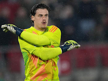 Mile Svilar