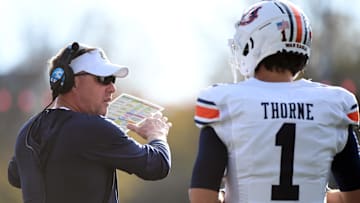 Hugh Freeze's transfer portal recruiting at QB for Auburn football has not impressed one analyst