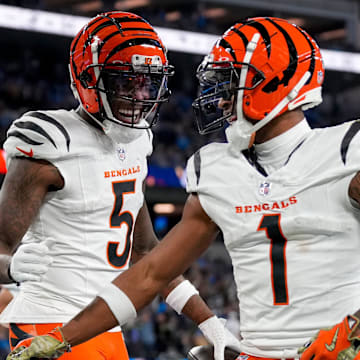 Cincinnati Bengals wide receivers Tee Higgins (5) and Ja'Marr Chase (1) celebrate a touchdown during a game on Nov. 17, 2024.