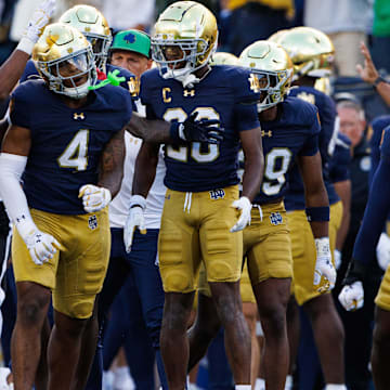 Notre Dame's defense celebrates getting a stop during a NCAA college football game between Notre Dame and Northern Illinois at Notre Dame Stadium on Saturday, Sept. 7, 2024, in South Bend.