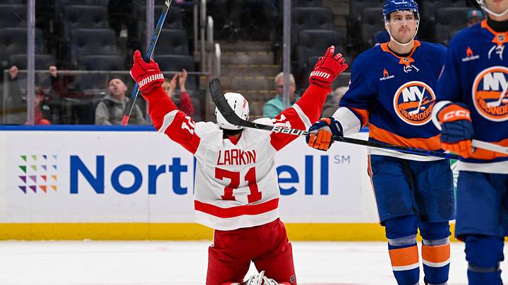 Nov 25, 2024; Elmont, New York, USA;  Detroit Red Wings center Dylan Larkin (71) celebrates his goal against the New York Islanders during the third period at UBS Arena. Mandatory Credit: Dennis Schneidler-Imagn Images