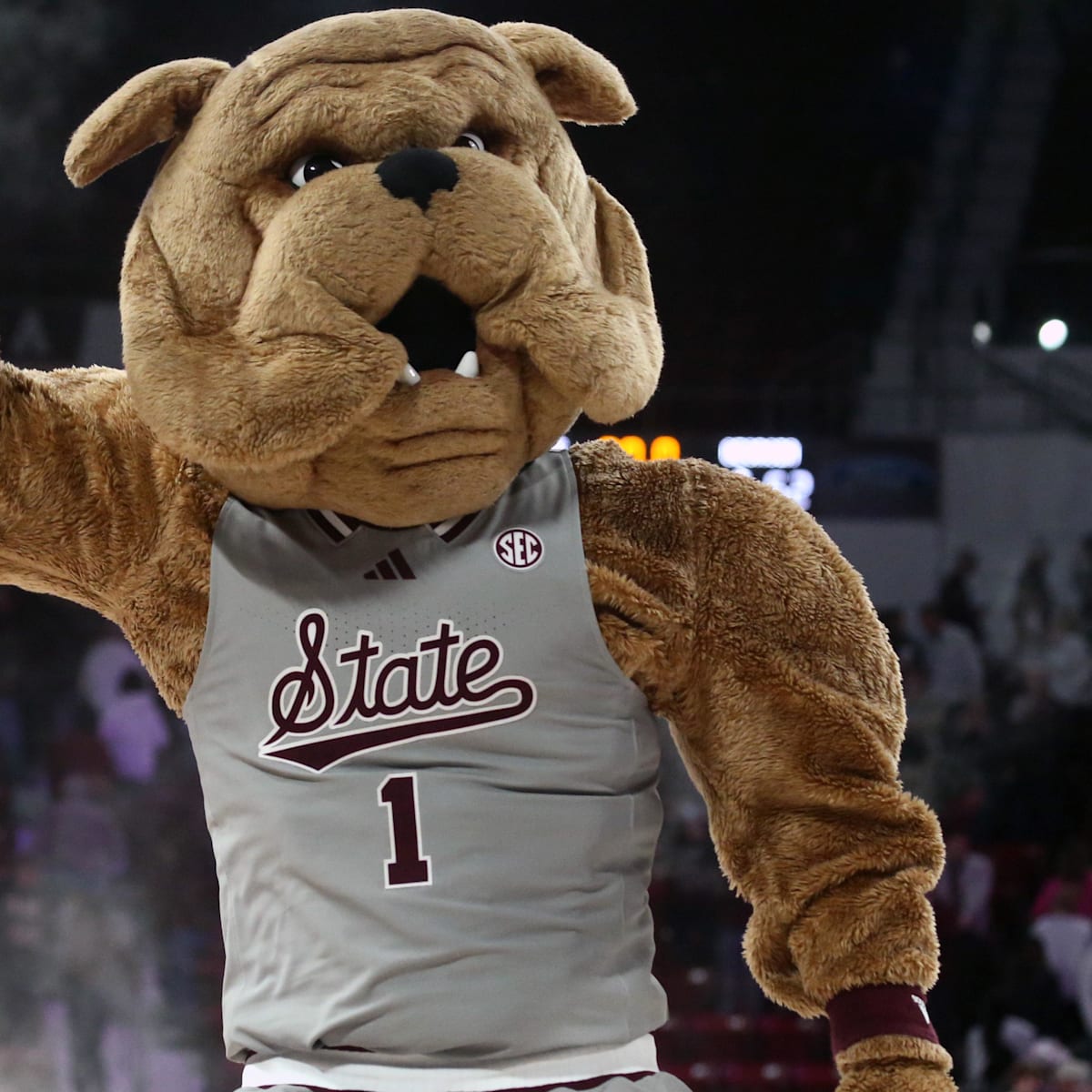 how many college basketball teams have a bulldog mascot