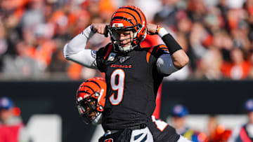 Houston Texans v Cincinnati Bengals