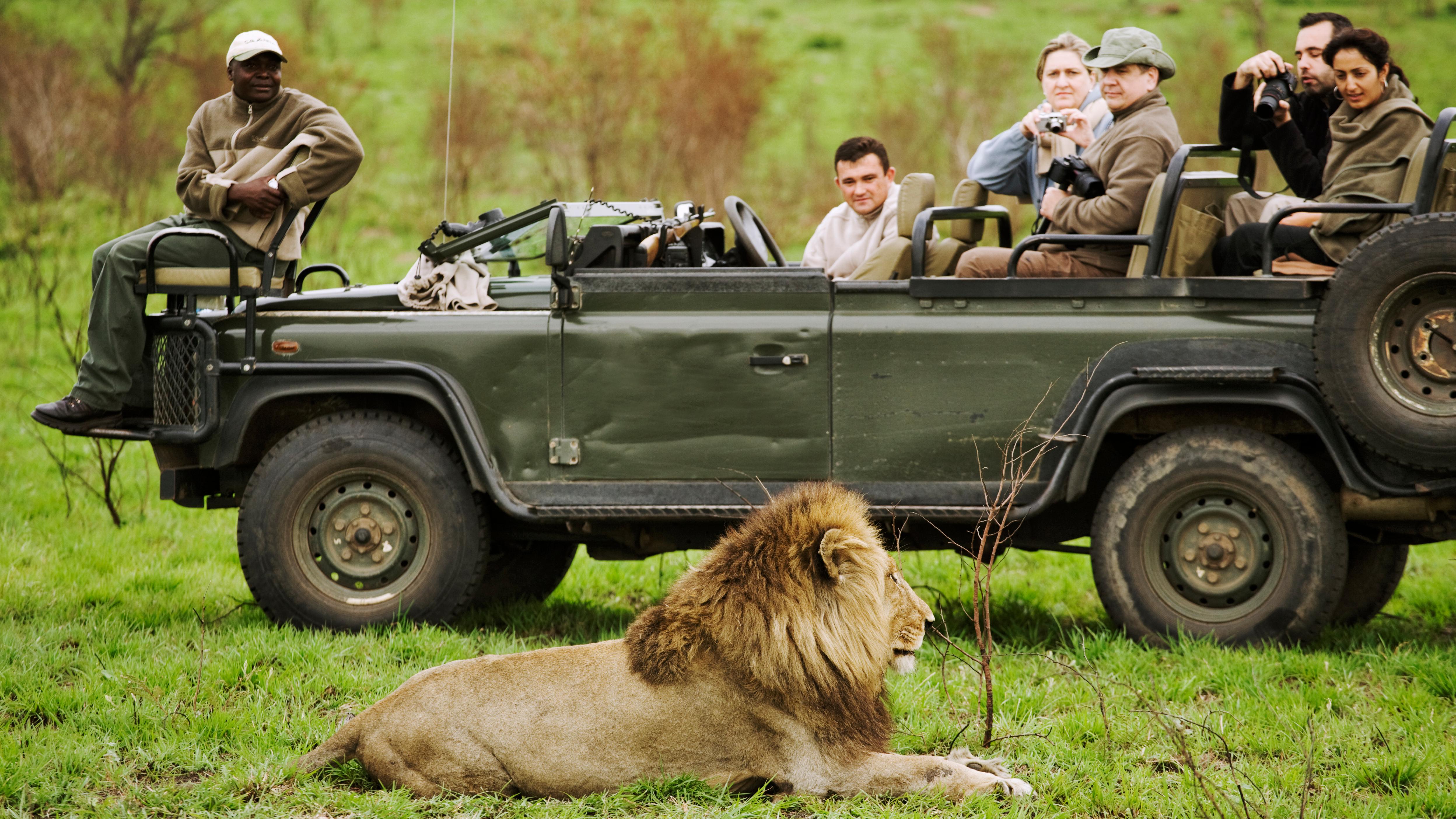You Can Now Order a 0 South African Safari Through Uber