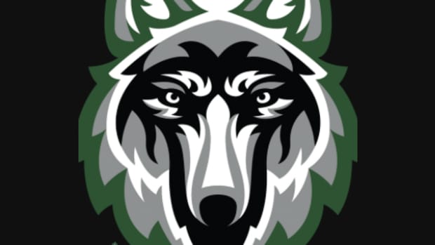 Sageview (WA) school logo