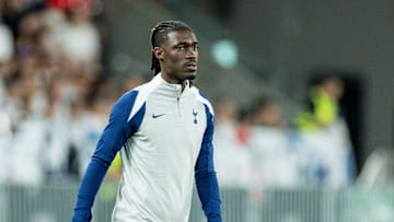 Tottenham Hotspur FC Open Training  & Press Conference