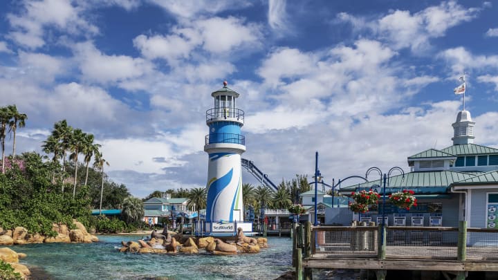 Seaworld marine park, Orlando Florida, USA...