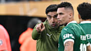 Paulinho se tornou símbolo de resiliência no Palmeiras