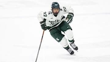 Michigan v Michigan State
