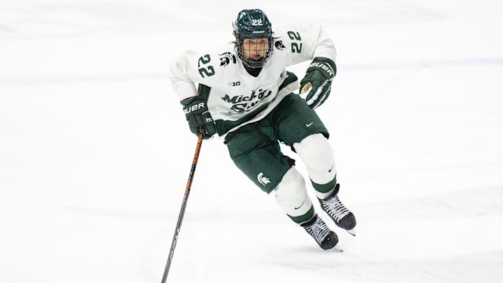 Michigan v Michigan State