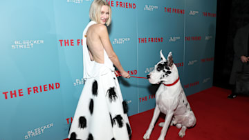 "The Friend" New York Premiere