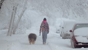 Industrial snowfall caused by the cooling towers of a nearby steel factory blankets Kosice